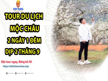 tour-du-lich-moc-chau-2-ngay-1-dem-dip-2-thang-9-9