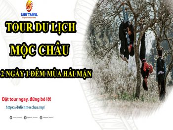 tour-du-lich-moc-chau-2-ngay-1-dem-mua-hai-man9