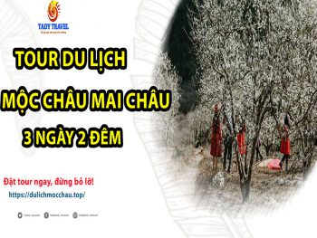 tour-du-lich-moc-chau-mai-chau-3-ngay-2-dem9